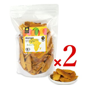 y}\!ő2000~OFFN[|zz!zstAtJXNGA[ uLit@\̃hC}S[ 500g × 2 L@JAS