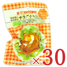 【マラソン限定！最大2200円OFFクーポン配布中】《送料無料》内野家 uchipac 国産鶏 サラダチキン カレー 100g × 30個 ケース販売