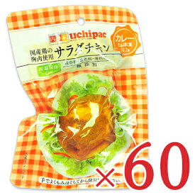 【マラソン限定！最大2200円OFFクーポン配布中】《送料無料》内野家 uchipac 国産鶏 サラダチキン カレー 100g × 60個 ケース販売