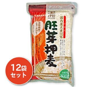 yX[p[SALE!ő2000~OFFN[|zz!zc Y艟 800g × 12 y唞  艟 Y Y JlL тɁz