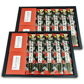 《送料無料》五島手延うどん (国産小麦)と 飛魚だしつゆ (煮出し用)詰合せ × 2個 【 まとめ買い ご挨拶ギフト 贈答用 母の日ギフト 】