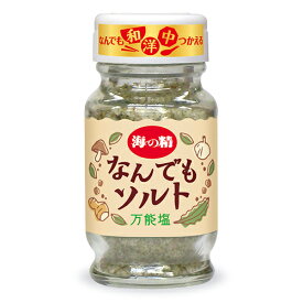 【月初め34時間限定！最大2200円クーポン配布中！】海の精 なんでもソルト 瓶 58g 味付き塩