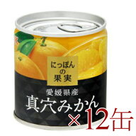 【マラソン限定クーポン配布中】《送料無料》 にっぽんの果実　愛媛県産　真穴みかん 190g ×12缶 [K&K]…