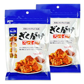 【最大2200円OFFのスーパーSALE限定クーポン配布中！】エスビー食品 S&B ざくがけスパイス 100g × 2袋