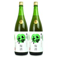 【マラソン限定クーポン配布中】《送料無料》九重雜賀 雑賀梅酒 1800ml × 2本 【 まとめ買い 】