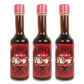 【最大2200円OFFのスーパーSALE限定クーポン配布中！】カレースパイスソース カレーノ 60ml × 3本