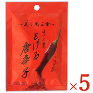 辻製油 うれし野ラボ 辻さん家のとける唐辛子 詰替え用 8g × 5袋【まとめ買い】