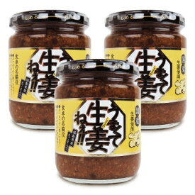 【マラソン限定クーポン配布中】吾妻食品 うまくて生姜ねぇ 240g × 3個 【 まとめ買い 】