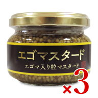 浅沼醤油店 エゴマスタード 120g × 3個 【 まとめ買い 】