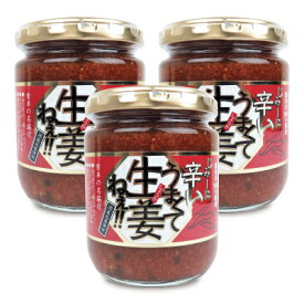 【マラソン限定クーポン配布中】吾妻食品 じみーに辛い。うまくて生姜ねぇ!! 240g × 3個 【 まとめ買い 】
