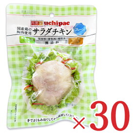《送料無料》内野家 uchipac 国産鶏 サラダチキン プレーン 100g × 30個 ケース販売