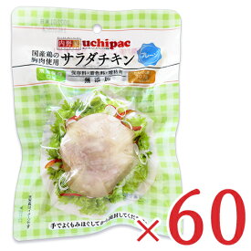 《送料無料》内野家 uchipac 国産鶏 サラダチキン プレーン 100g × 60個 ケース販売