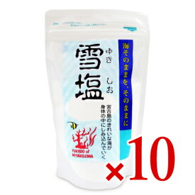 《送料無料》パラダイスプラン 雪塩 120g × 10袋