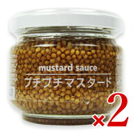 【マラソン限定クーポン配布中】FIND NEWS(ファインドニューズ) プチプチマスタード 100g × 2個 【 まと…