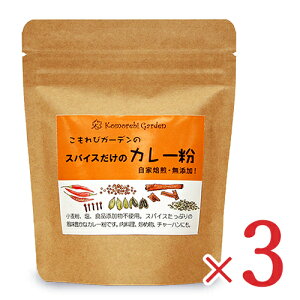 【マラソン限定!最大2000円OFFクーポン配布中!】こもれびガーデン スパイスだけのカレー粉 90g × 3袋