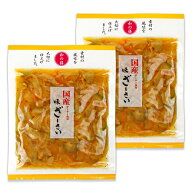 【マラソン限定クーポン配布中】マルアイ食品 国産 味ざーさい 100g × 2袋 【 まとめ買い 】