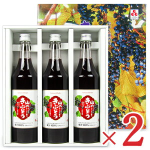 yX[p[SALE!ő2000~OFFN[|zz!zstK{X R̂Ԃǂ [600ml × 3{] × 2