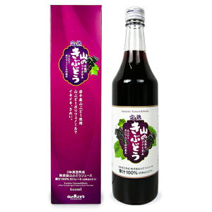 K{X n R̂Ԃǂ ʏ`100%Xg[g 600ml
