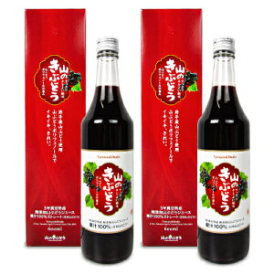 y}\!ő2000~OFFN[|zz!zstK{X R̂Ԃǂ ʏ`100%Xg[g 600ml × 2