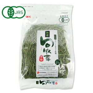 yubNtCf[!ő2000~OFFN[|zz!zGEX WFbNX Y {q C^ACOX 120g L@JAS ybgt[h a  GT