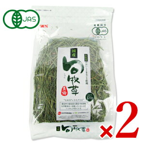 yubNtCf[!ő2000~OFFN[|zz!zstGEX WFbNX Y {q C^ACOX 120g × 2 L@JAS ybgt[h a  GT