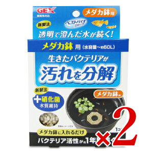 s34Ԍő2000~OFFtWFbNX GEX xXgoCIubN _Jp × 2