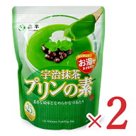 《送料無料》森半 宇治抹茶プリンの素 業務用 500g（約25人分）× 2袋 共栄製茶 お湯でまぜるだけ 【 ま…