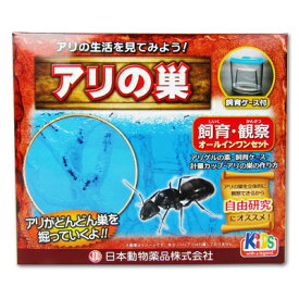 【マラソン限定!最大2000円OFFクーポン配布中!】《送料無料》ニチドウ 飼育観察セット アリの巣