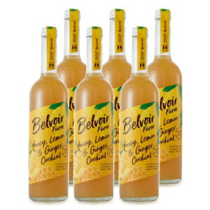 stELHi R[fBAnj[WW[ 500ml × 6{ P[X̔