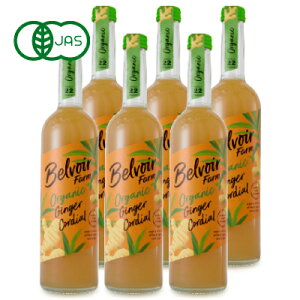 yX[p[SALE!ő2000~OFFN[|zz!zst ELHi I[KjbN R[fBAWW[ 500ml × 6{ myouki L@JASn P[X̔
