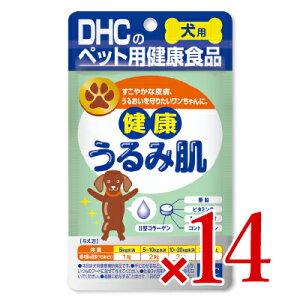 yX[p[SALE!ő2000~OFFN[|zz!zst DHC Nݔ 60 × 14