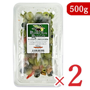 VF[Y ~bNX[ũ}l 픲 500g × 2 I[u̎