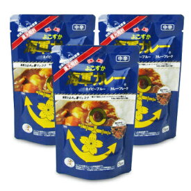 【イーグルス感謝祭限定!!最大2000円OFFクーポン配布中!! 】よこすか海軍カレー ネイビーブルー カレーフレーク 125g × 3袋 [調味商事]