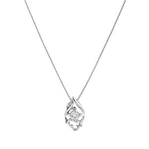 �v���`�i�_�C�������h�l�b�N���X