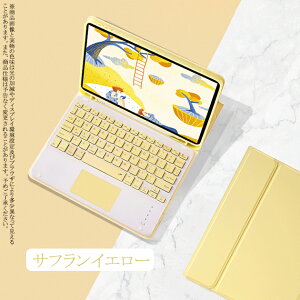 iPad Air 5/4/3 L[{[h tP[X iPad 10/9 P[X y[ Jo[ y ACpbh mini 6/5 Pro 11 C` P[X