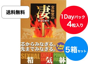  哰 哰̐\ 1DAY 4 5Zbg \ ^Cv قǂ イ  v[g Mtg