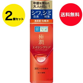 【送料無料】2個セット エイジングケア 肌ラボ 極潤 薬用ハリ化粧水 170ml ロート製薬 ゴクジュンケショウスイ 170ML