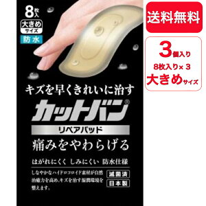 yzy3ZbgzSi Jbgo yApbh 傫߃TCY 8k΂񂻂l傫߃TCY 30 mm × 70 mm
