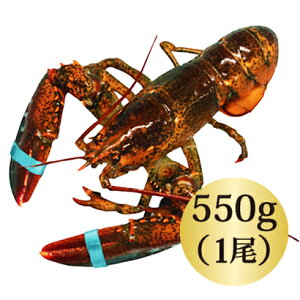 ロブスター 魚介類の人気商品 通販 価格比較 価格 Com ロブスター 魚介類の人気商品 通販 価格比較 価格 Com