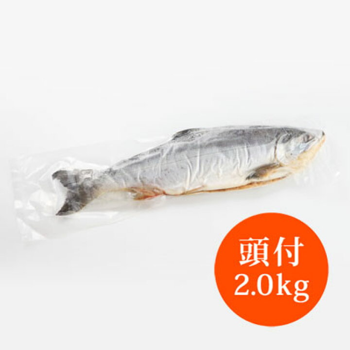 2393円 【新作入荷!!】 頭付塩紅鮭 2.0kg 2393円 【新作入荷!!】 頭付塩紅鮭 2.0kg