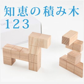楽天市場】 すくすく > エジソンクラブ 知恵の積み木123 : TSUZURU