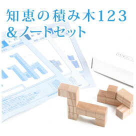 楽天市場】 すくすく > エジソンクラブ 知恵の積み木123 : TSUZURU