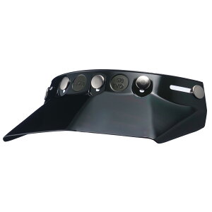 TT&CO. 570visor X[N gNX oCU[ ttFCX re[W