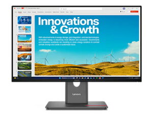 Lenovo [64B1GAR1JP] ThinkVision P24QD-40