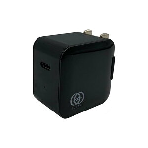 Sbp [GP-ACC20R/B] USB PDFUSB Type-C AC[d20WubN