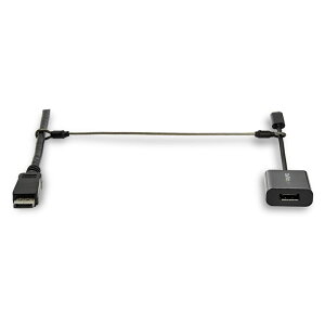 StarTech.com [CONNLOCKPK10] P[u/A_v^ApZLeBC[ 10pbN jo[Th~X`[C Mk`[ut