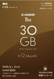 日本通信 [BM-GTPLBC-12MC] b-mobile Biz SIMパッケージ(DC/マルチ)