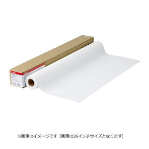 Lm [LFM-FRH/24/184] hNXHG LFM-FRH/24/184[9124A007]