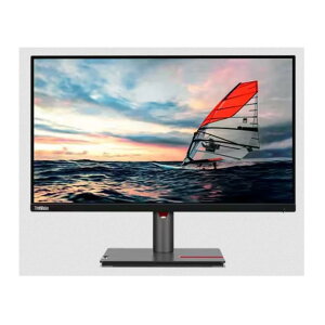 m{ [63F4MAR1JP] ThinkVision P25i-30
