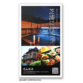 シャープ [EP-C251] ePoster 25.3型電子ペーパーディスプレイ